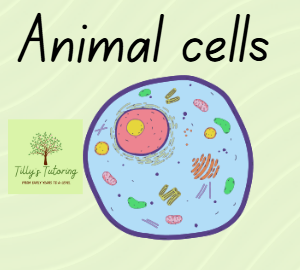 KS3 Biology - Unit 1 Cells